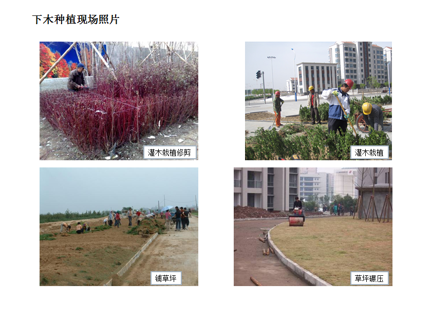 圖片關鍵詞
