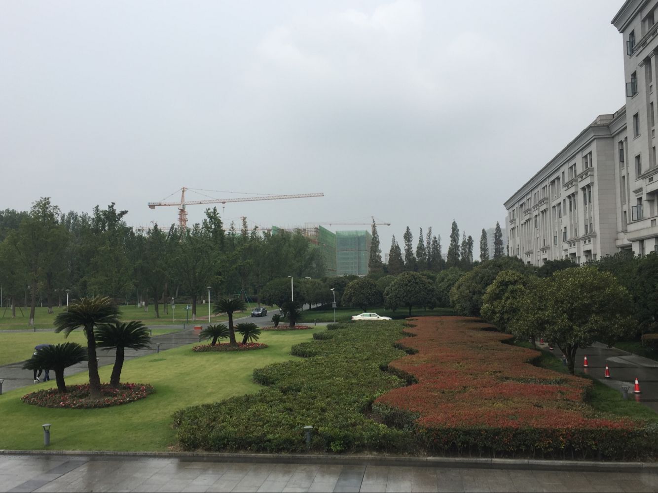 大成園林_園林綠化_綠化工程_園林綠化工程_綠化養護_園林綠化養護_園林綠化公司_成都園林公司_成都綠化公司_成都園林綠化公司_成都園林綠化工程公司_四川園林公司_四川園林綠化工程公司_成都大成志得園林有限公司
